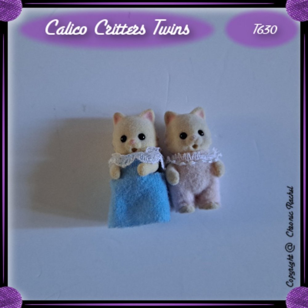 Cream Chantilly Cat Twins